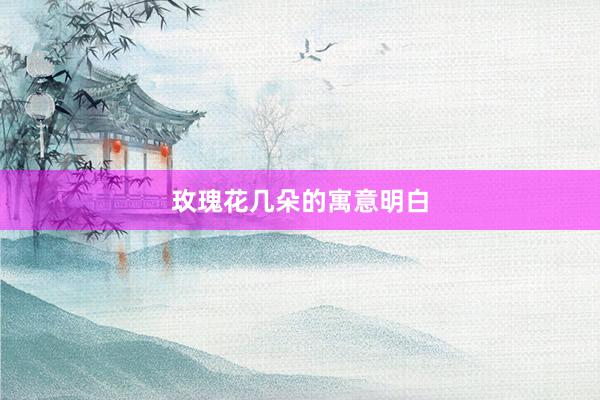 玫瑰花几朵的寓意明白